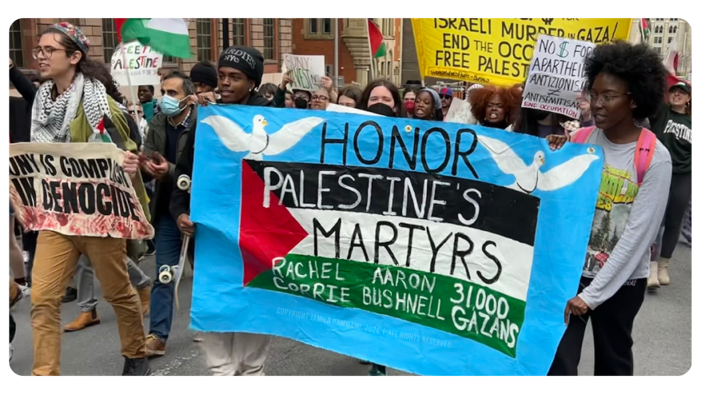 UAlbany Students, a part of the Pro-Palestine/Palestine Liberation Student Movement, holding signs and banners in solidarity with Palestine. A large banner in the front, held by two students, reads, “Honoring Palestine's Martyrs, Rachel Corrie and Aaon Bushnell.” One student with a keffiyeh holds a banner about SUNY's complicity in genocide, and there are large banners in the background that say, "Israeli murder in Gaza! End the Occupation for Palestine! Free Palestine", and an additional sign that says "No $ for apartheid Antizionism is not antisemitism. End the Occupation" while students took to the street, marching in the streets from at UAlbany. Albany, New York, Spring 2024. | Photo Credit & Copyright: Jamila Hammami, 2024. | All Rights Reserved.
